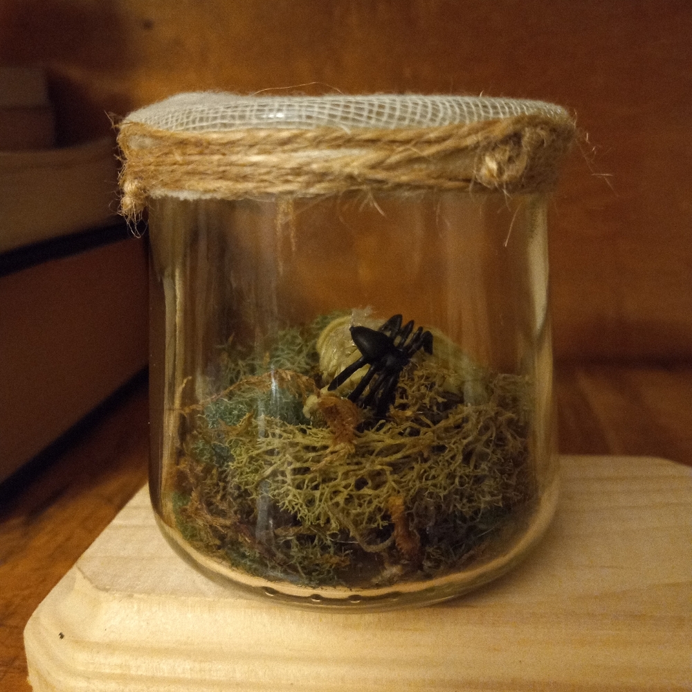 Skeletal specimen jars, set of 3, handmade - Picture 5 of 16